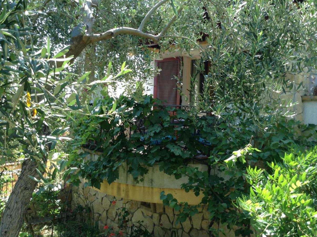 Graziosissima Villa Capitana Exteriör bild